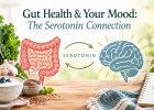 Gut health and mood - serotonin