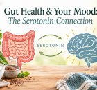Gut health and mood - serotonin